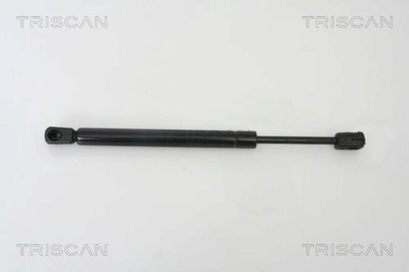 TRISCAN Gas Spring, boot-/cargo area