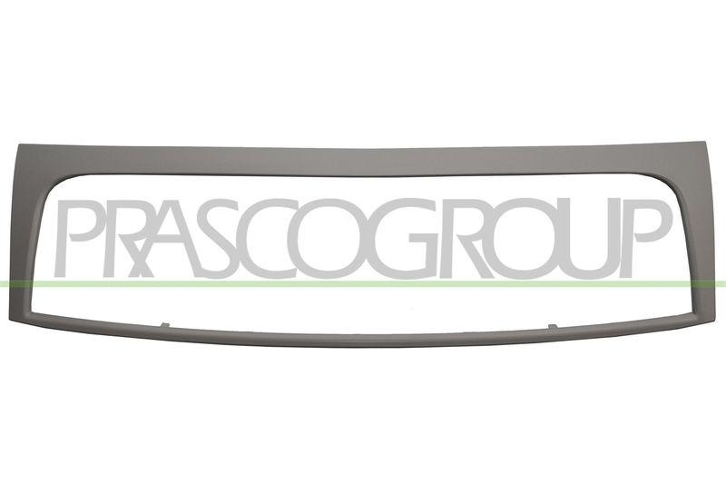 Frame, radiator grille Premium