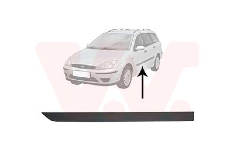 VAN WEZEL Trim/Protective Strip, door