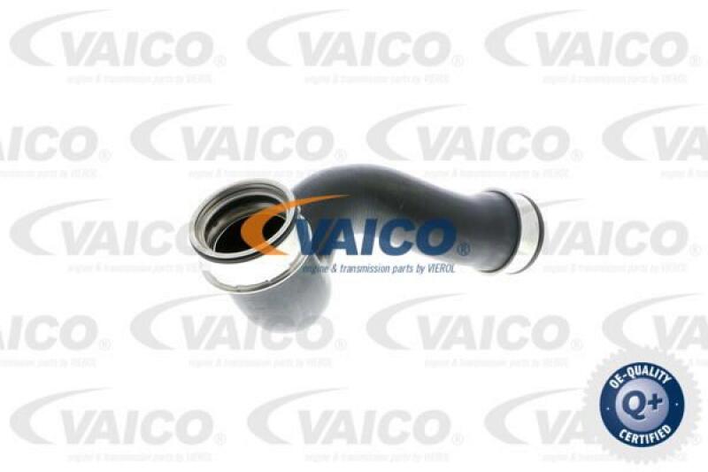 VAICO Charger Air Hose Q+, original equipment manufacturer quality