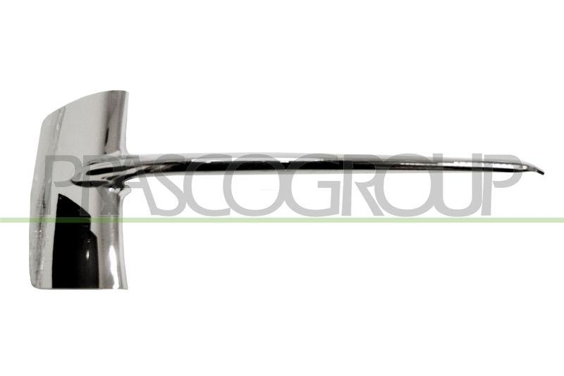 Trim/Protective Strip, radiator grille