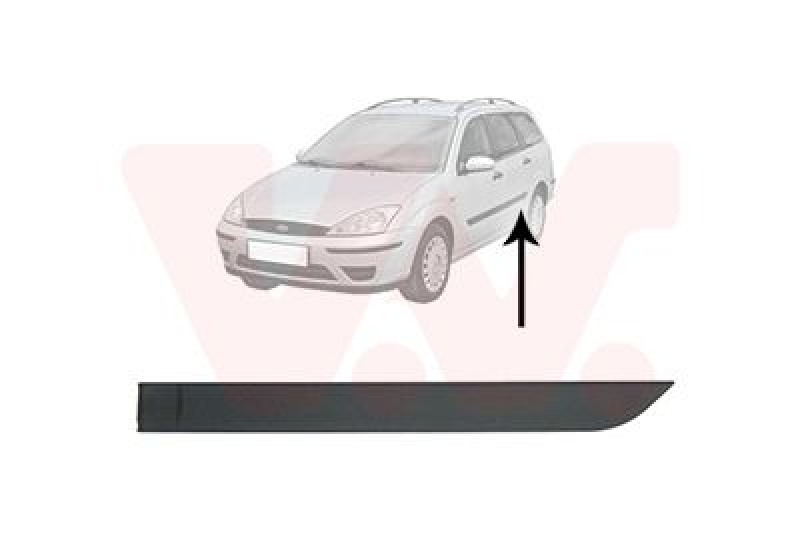 VAN WEZEL Trim/Protective Strip, door