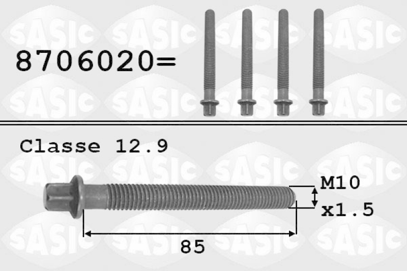 SASIC Riemenscheibenschraube