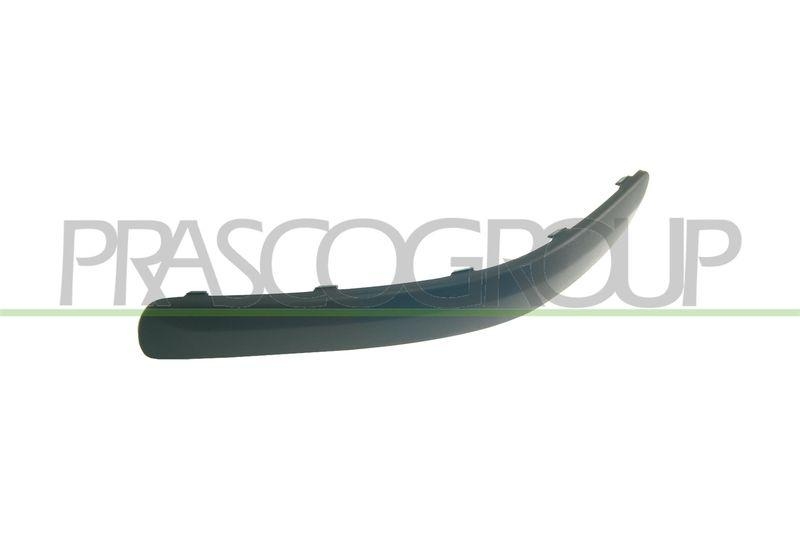 Trim/Protective Strip, bumper Premium