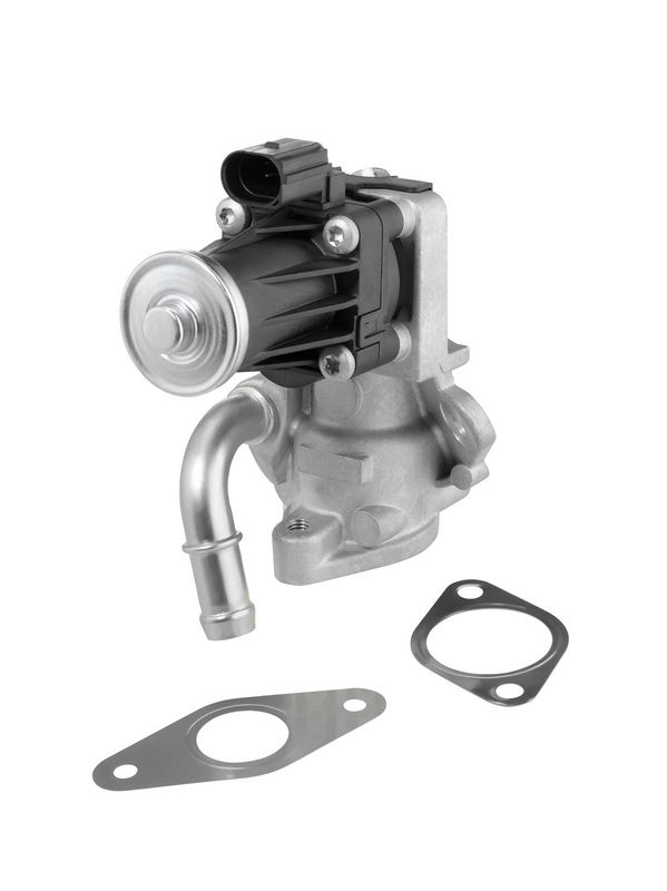 BorgWarner (Wahler) AGR-Ventil