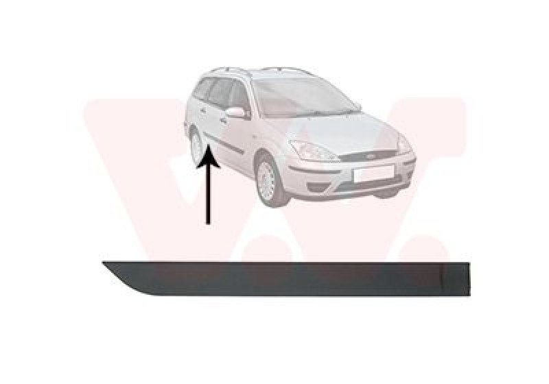 VAN WEZEL Trim/Protective Strip, door