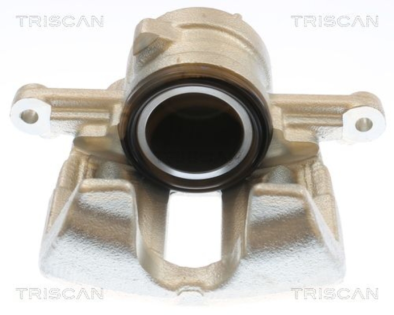 TRISCAN Bremssattel 8175 10133
