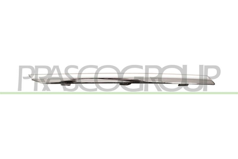 Trim/Protective Strip, radiator grille