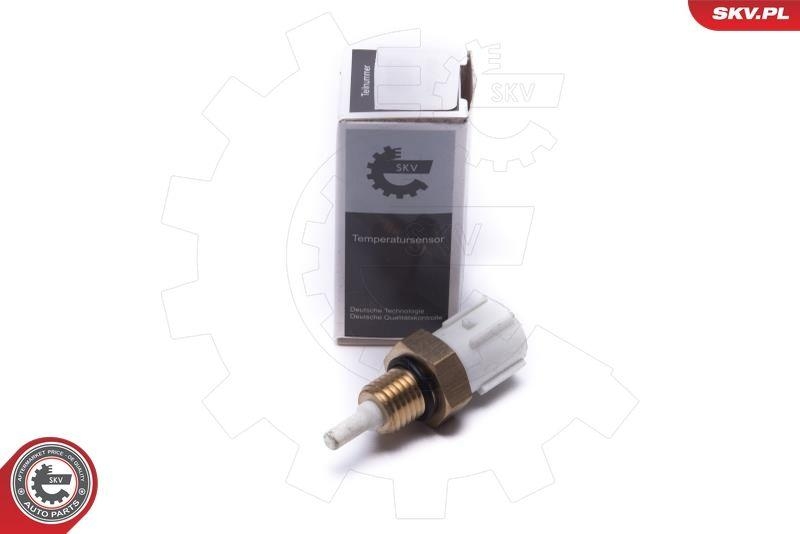 ESEN SKV Sensor, Ansauglufttemperatur