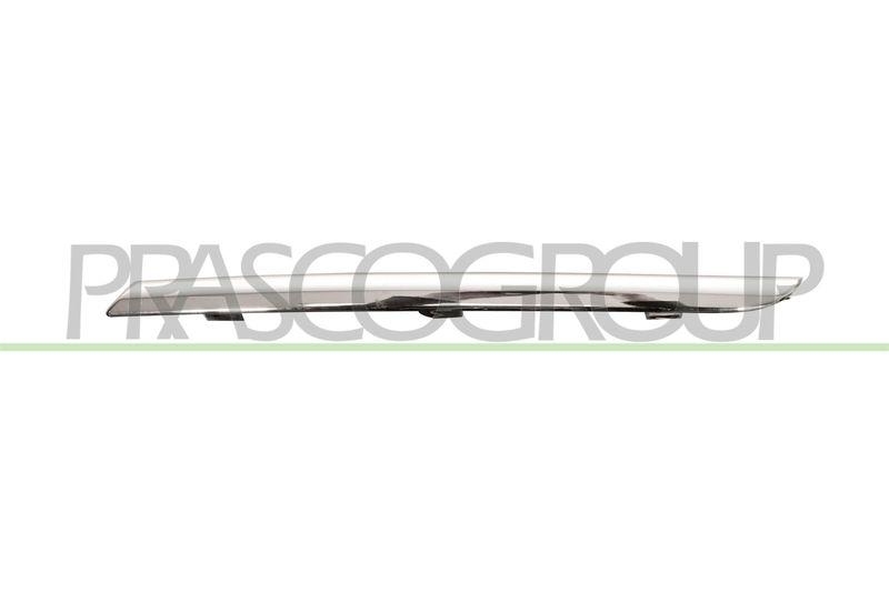 Trim/Protective Strip, radiator grille