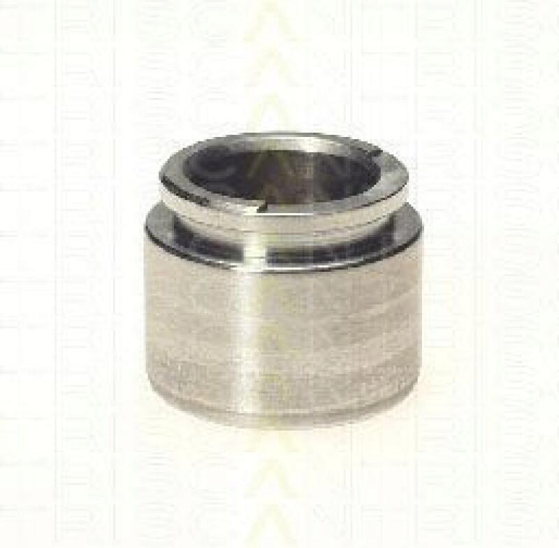 TRISCAN Piston, brake caliper