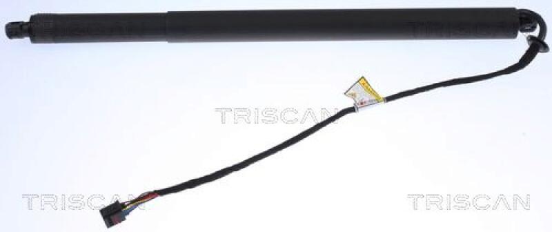 TRISCAN Gas Spring, boot-/cargo area