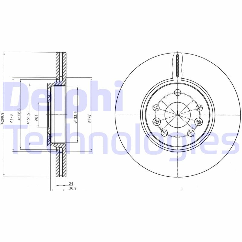 2x DELPHI Brake Disc