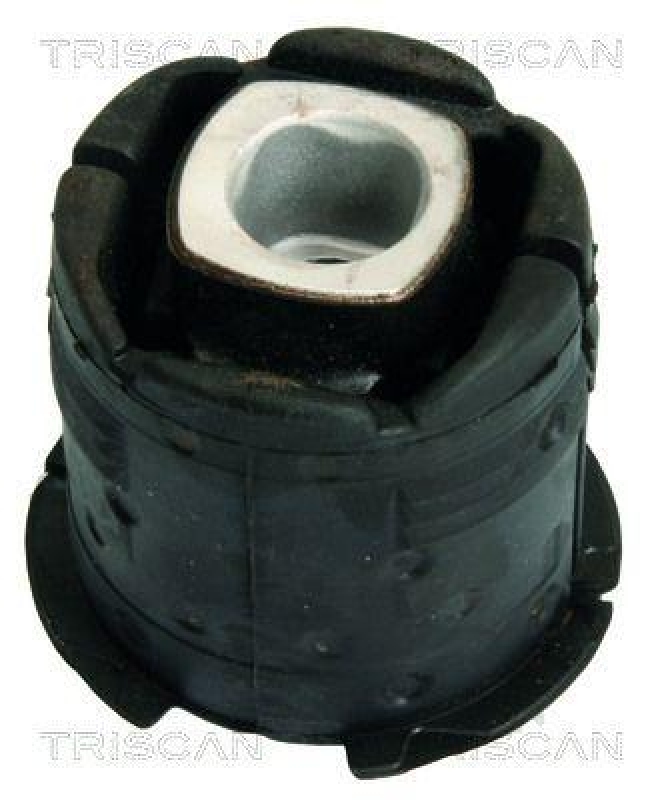 TRISCAN Mounting, axle beam