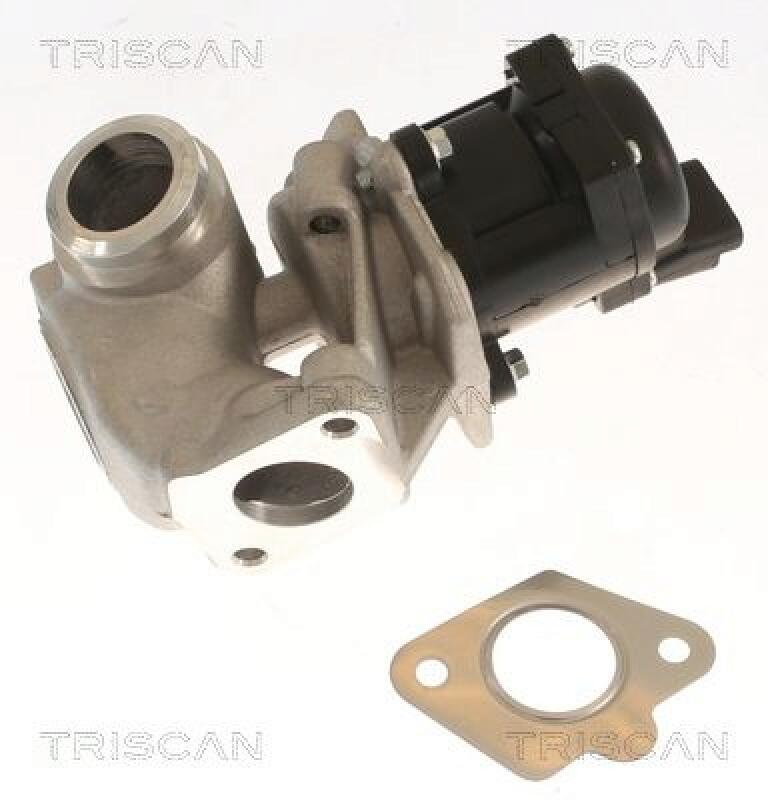 TRISCAN AGR-Ventil 8813 10018