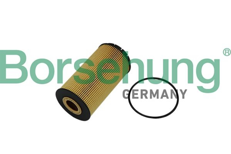 Borsehung Oil Filter