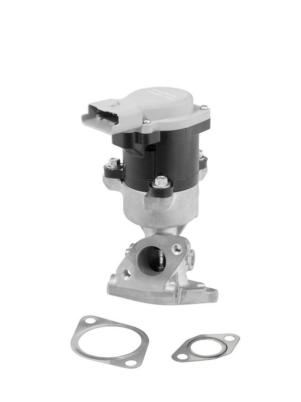 BorgWarner (Wahler) AGR-Ventil 712056D