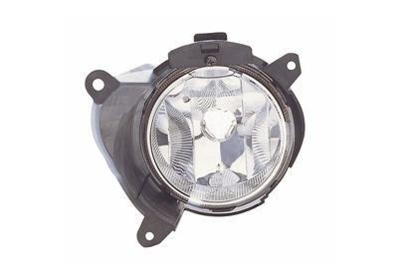 VAN WEZEL Fog Light