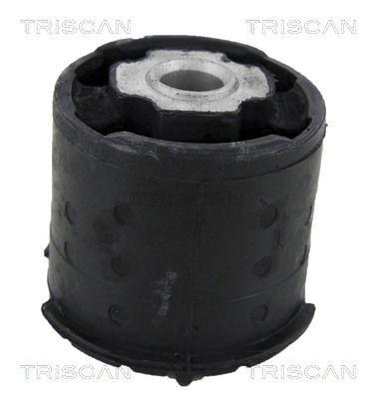 TRISCAN Mounting, axle beam