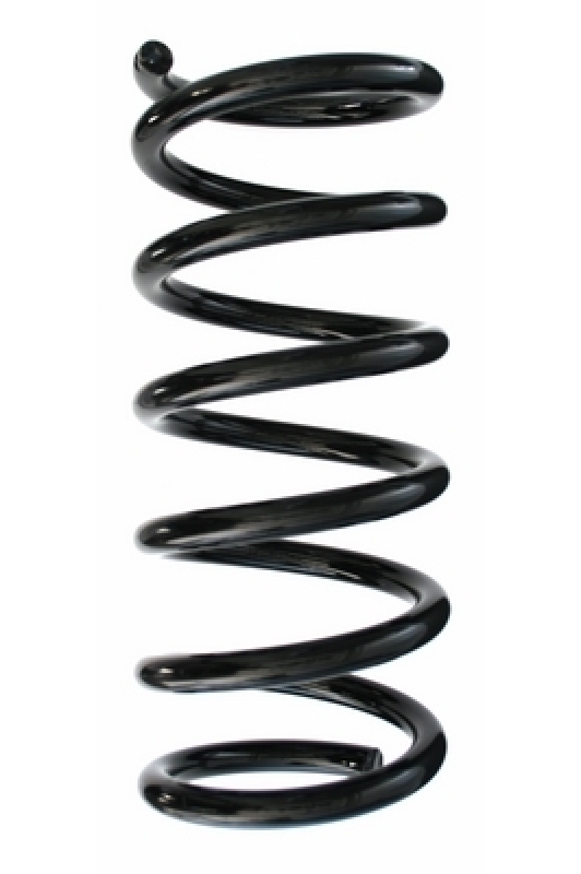 SPIDAN Suspension Spring