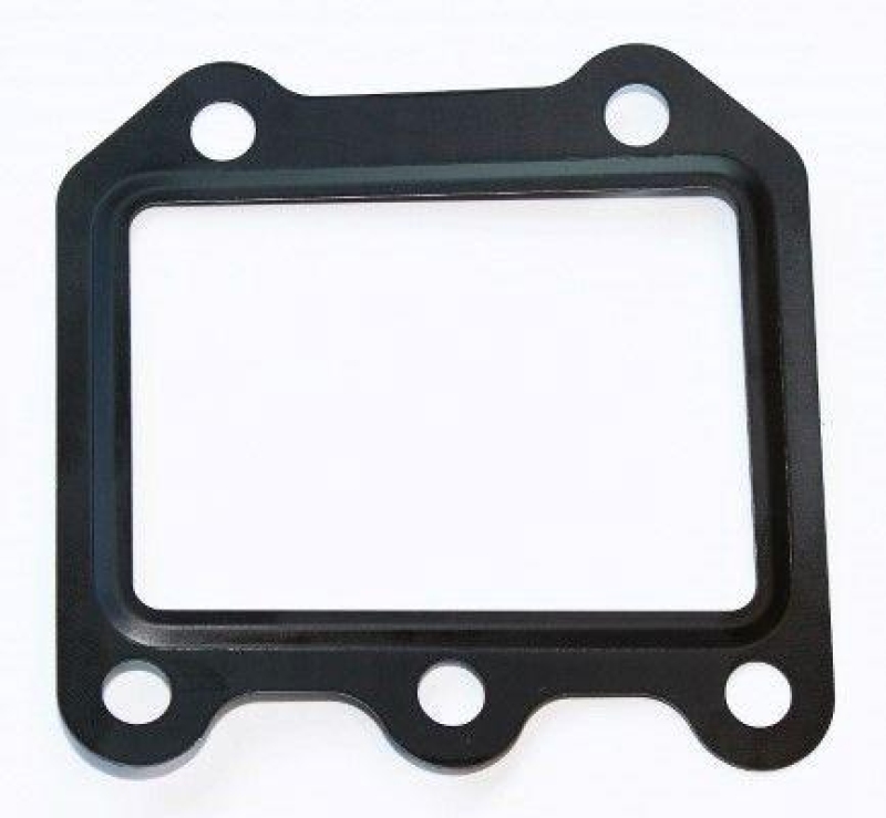 ELRING Seal, EGR valve