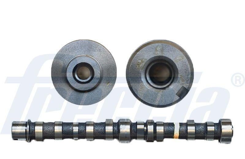 FRECCIA Camshaft