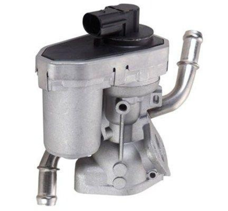 MAGNETI MARELLI EGR Valve