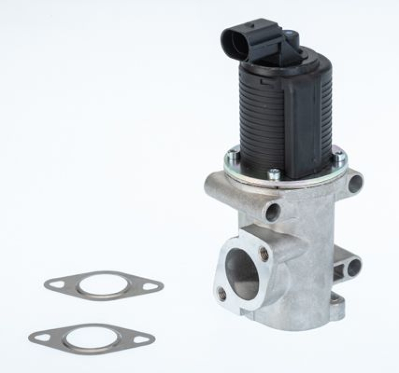 BorgWarner (Wahler) EGR Valve