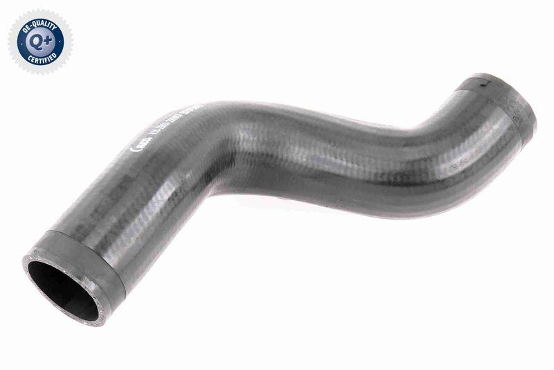 VAICO Charger Air Hose Q+, original equipment manufacturer quality