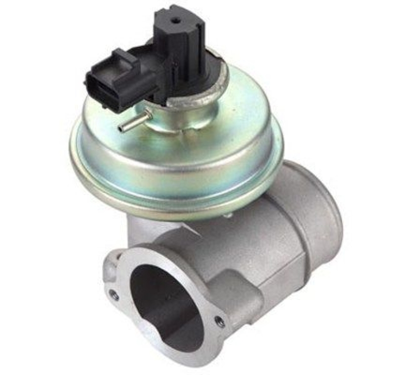 MAGNETI MARELLI EGR Valve