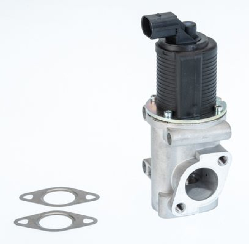 BorgWarner (Wahler) EGR Valve