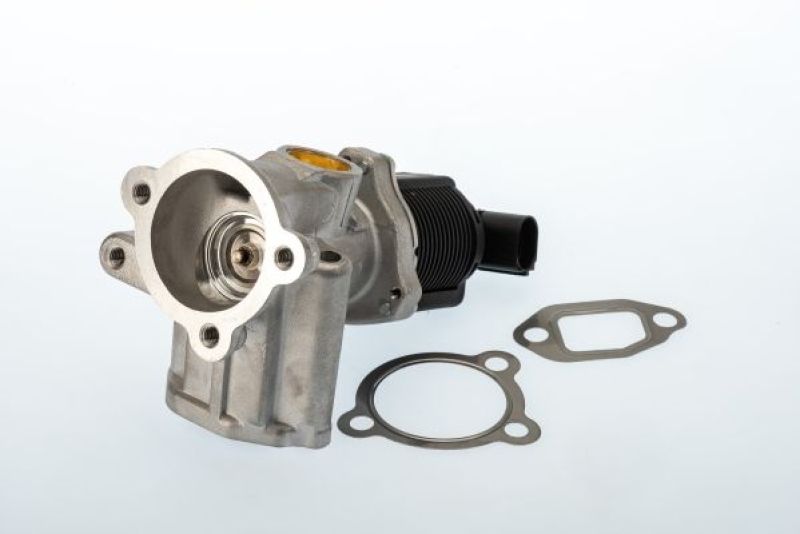 BorgWarner (Wahler) EGR Valve BW Original