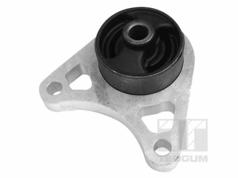 TEDGUM Mounting, differential