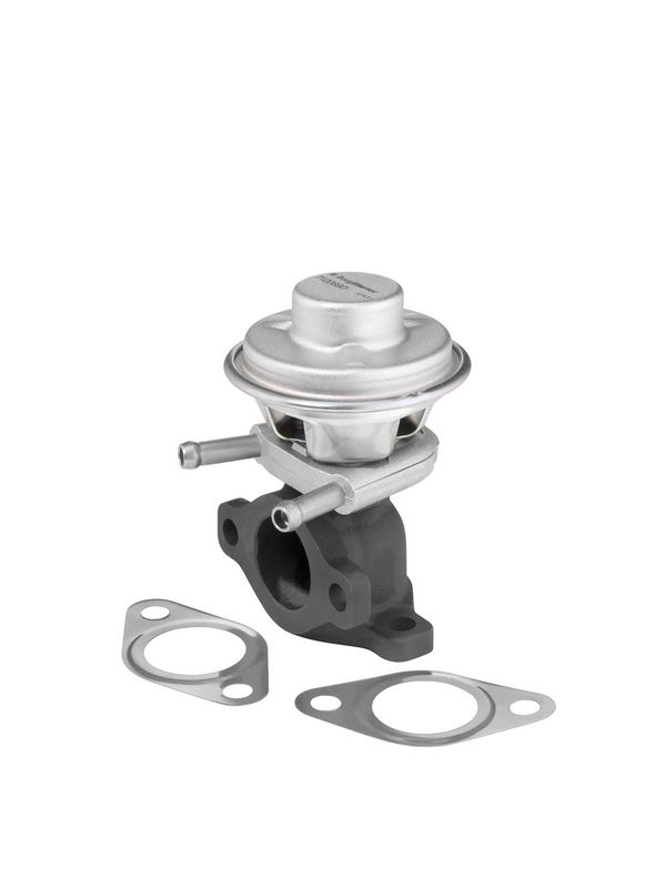 BorgWarner (Wahler) AGR-Ventil