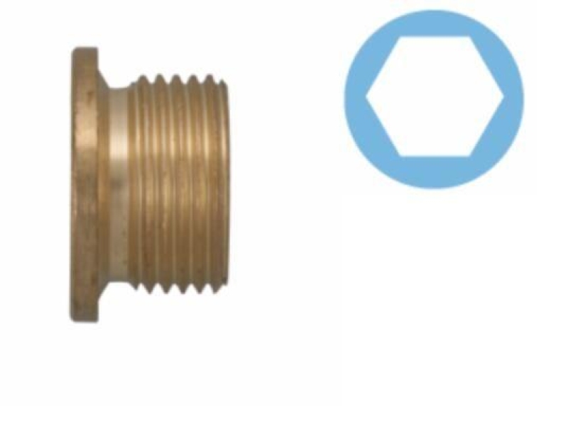 CORTECO Sealing Plug, oil sump