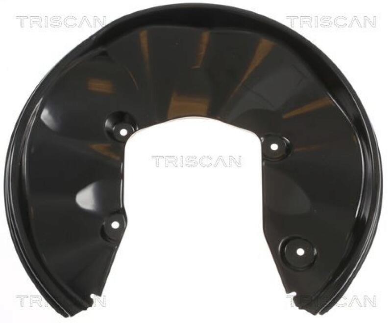 TRISCAN Splash Panel, brake disc