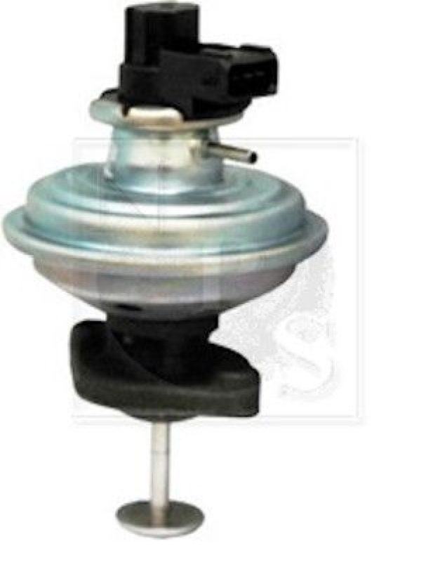 NPS EGR Valve