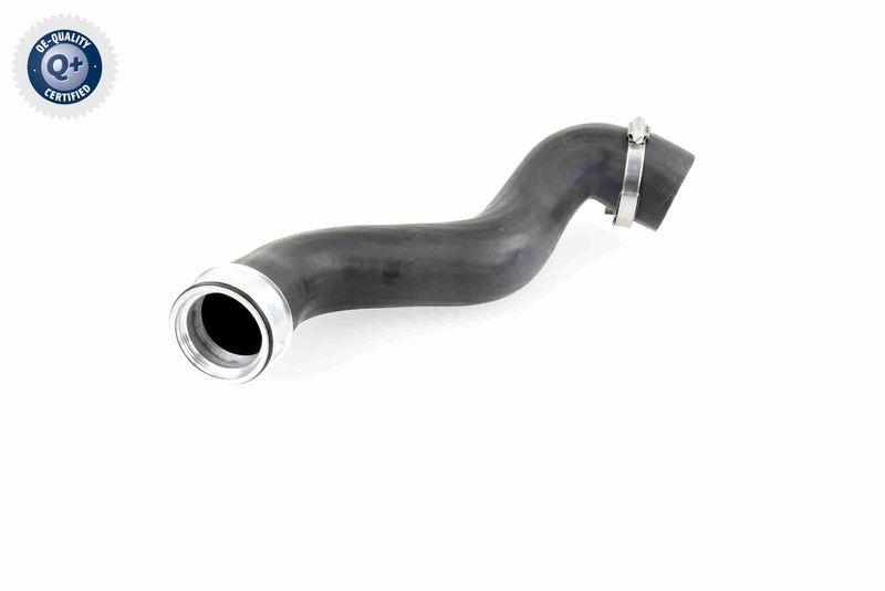 VAICO Charger Air Hose Original VAICO Quality