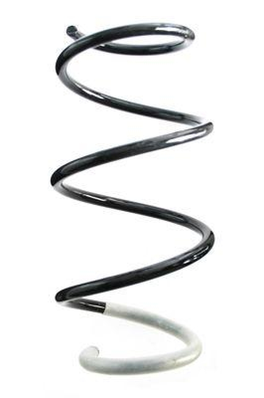 SPIDAN Suspension Spring
