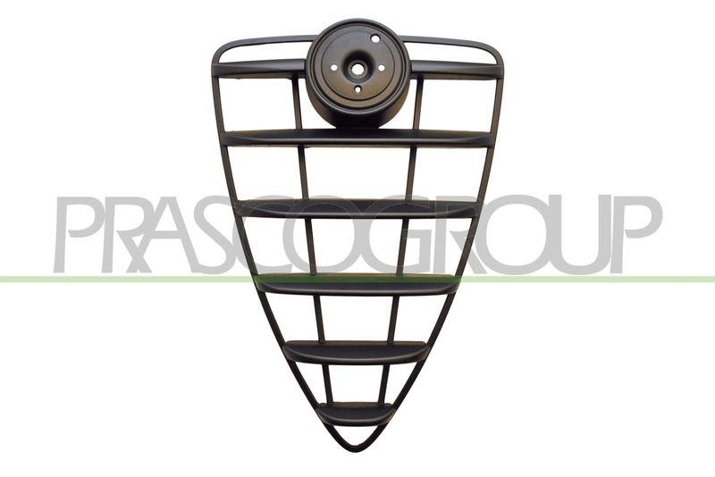 Radiator Grille
