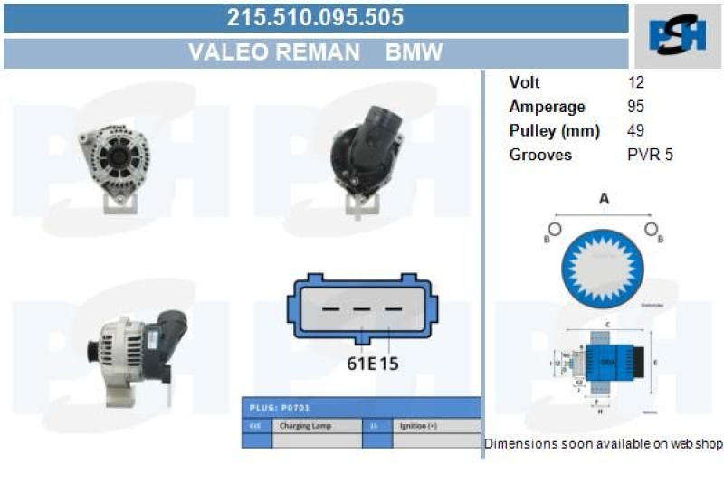 BV PSH Generator