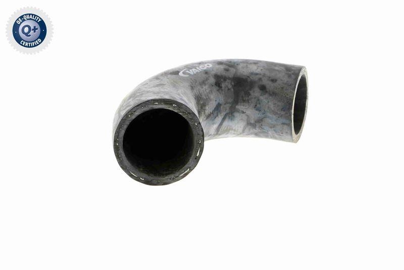 VAICO K&uuml;hlerschlauch Q+, Erstausr&uuml;sterqualit&auml;t