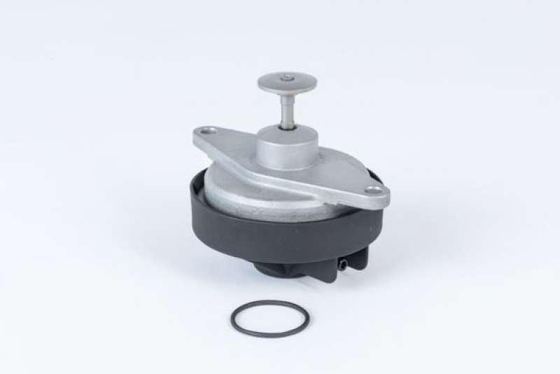 BorgWarner (Wahler) EGR Valve