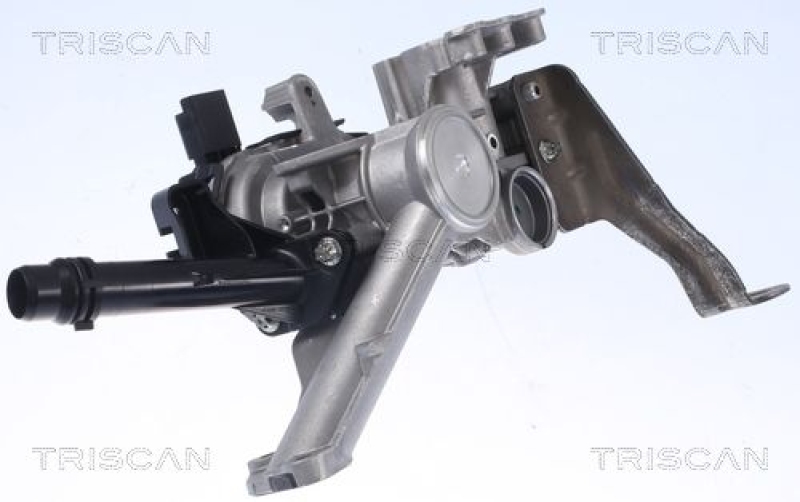 TRISCAN EGR Valve