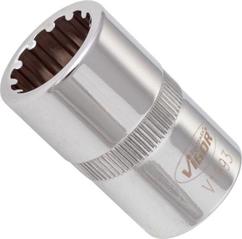VIGOR Socket