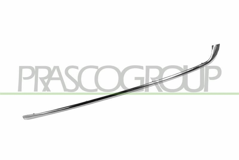 Trim/Protective Strip, bumper