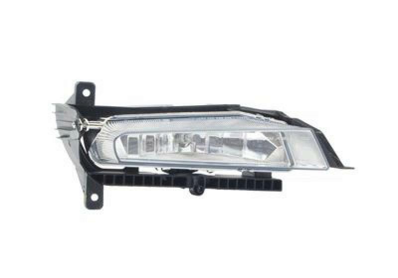 VAN WEZEL Fog Light