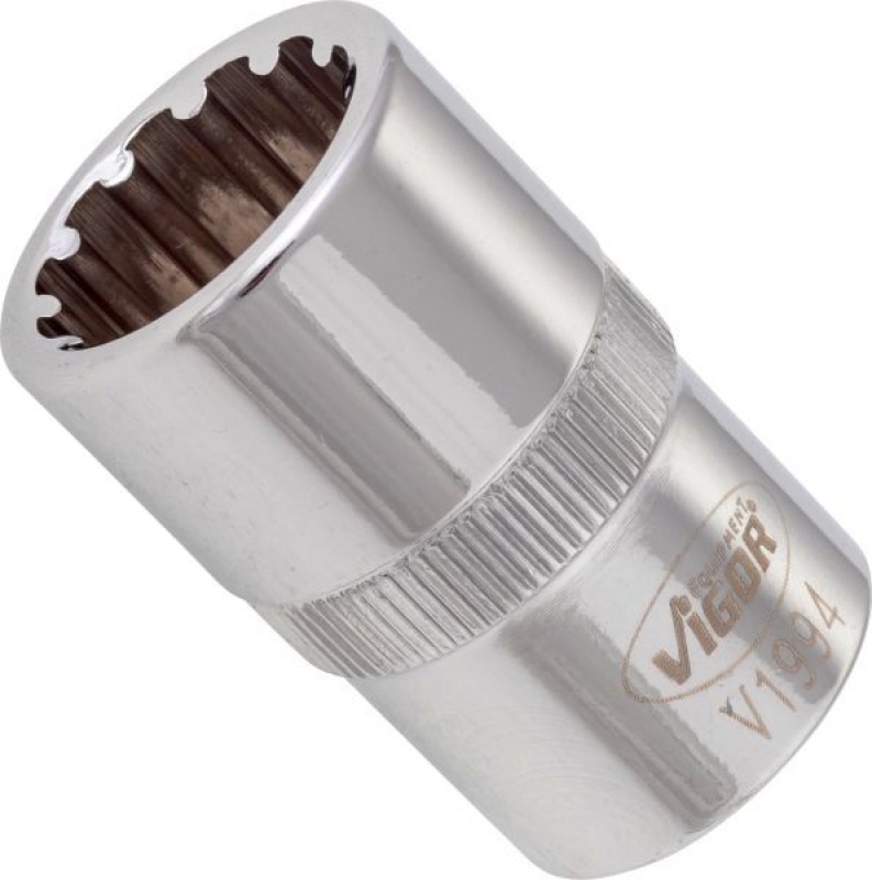 VIGOR Socket