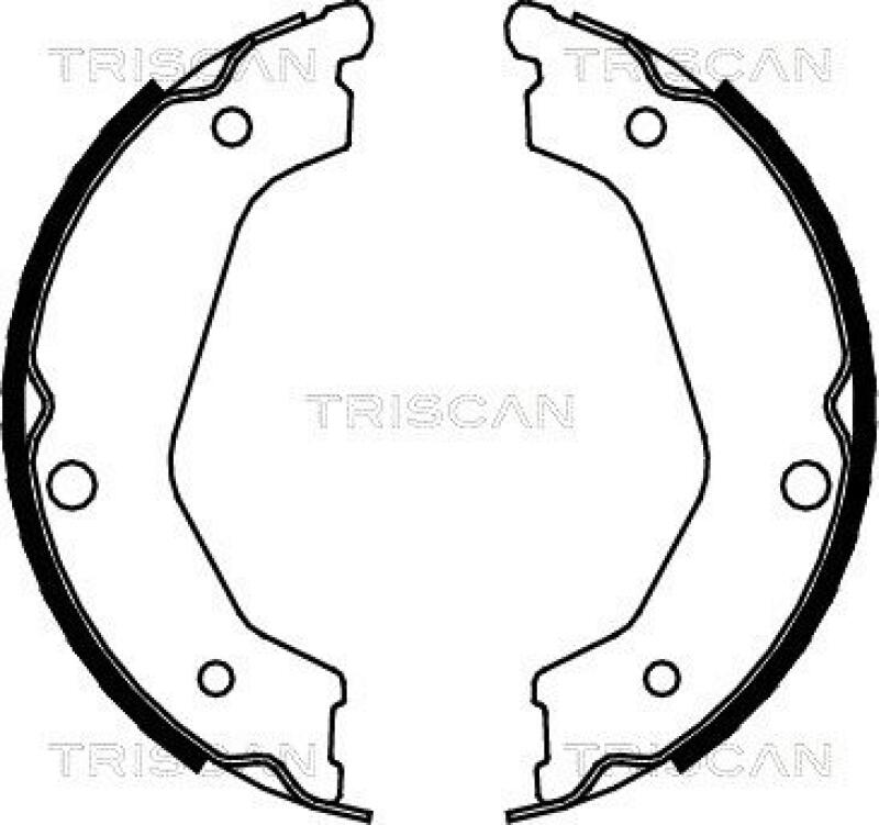 TRISCAN Brake Shoe Set, parking brake
