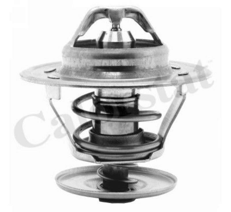 CALORSTAT by Vernet Thermostat, coolant